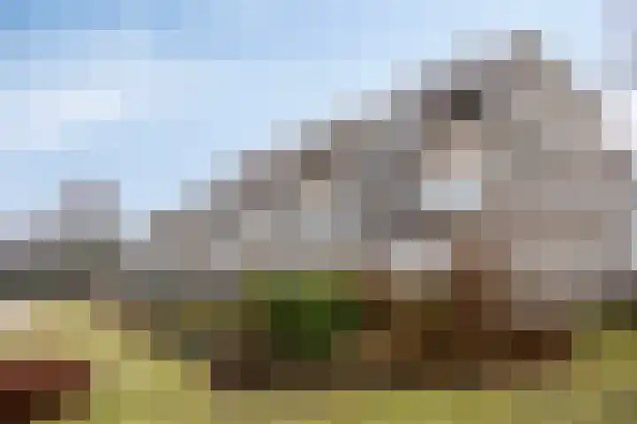 Rottumerplaat 37 Zwolle thumbnail 37
