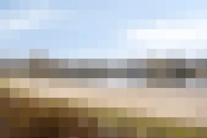 Rottumerplaat 37 Zwolle thumbnail 39