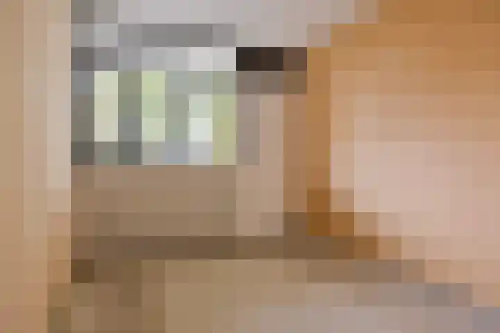 Rottumerplaat 43 Zwolle thumbnail 12