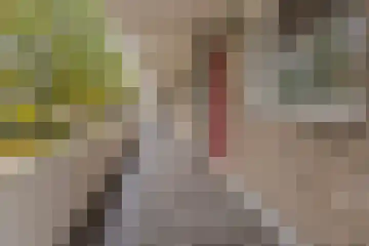 Rottumerplaat 43 Zwolle thumbnail 20