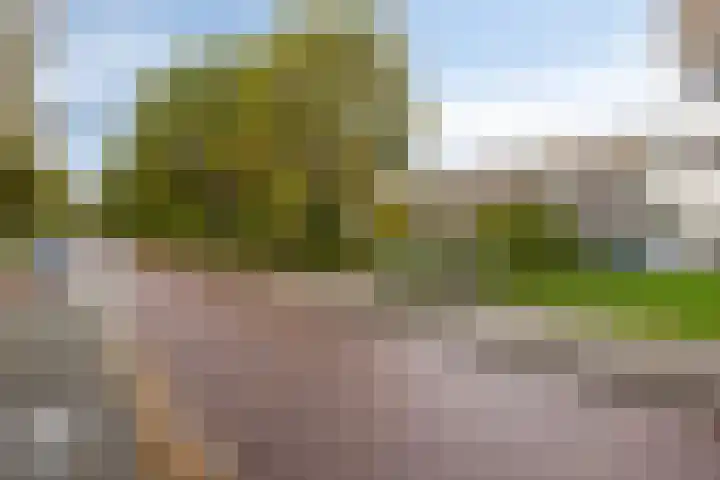 Rottumerplaat 43 Zwolle thumbnail 21