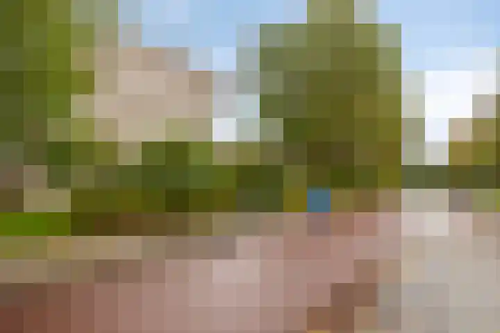 Rottumerplaat 43 Zwolle thumbnail 22