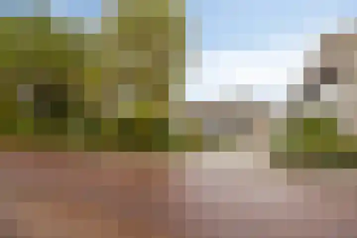 Rottumerplaat 43 Zwolle thumbnail 23