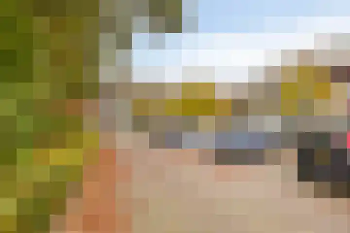 Rottumerplaat 43 Zwolle thumbnail 24