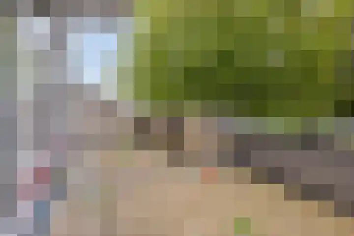 Rottumerplaat 43 Zwolle thumbnail 26