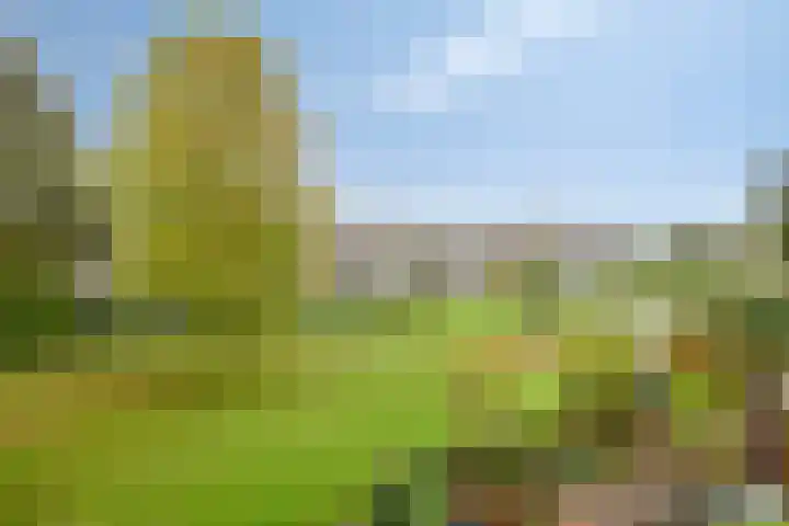 Rottumerplaat 43 Zwolle thumbnail 27