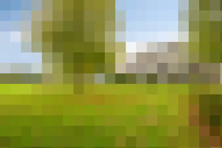 Rottumerplaat 43 Zwolle thumbnail 29
