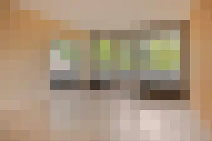 Rottumerplaat 43 Zwolle thumbnail 4