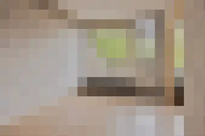 Rottumerplaat 43 Zwolle thumbnail 6