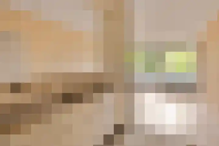 Rottumerplaat 43 Zwolle thumbnail 8