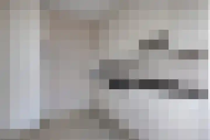 Rottumerplaat 51 Zwolle thumbnail 10