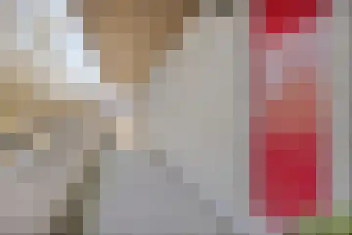 Rottumerplaat 51 Zwolle thumbnail 22
