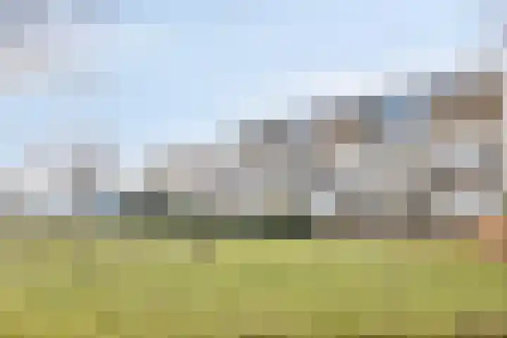 Rottumerplaat 51 Zwolle thumbnail 25