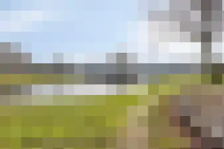 Rottumerplaat 51 Zwolle thumbnail 27