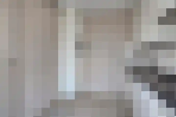 Rottumerplaat 51 Zwolle thumbnail 8