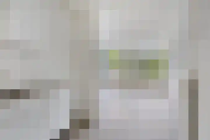 Rottumerplaat 55 Zwolle thumbnail 12