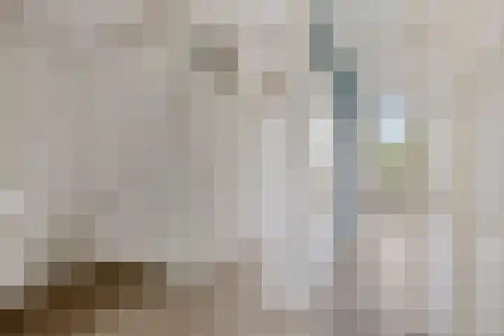 Rottumerplaat 55 Zwolle thumbnail 13
