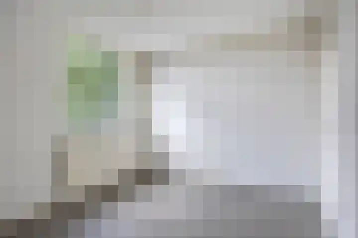 Rottumerplaat 55 Zwolle thumbnail 15