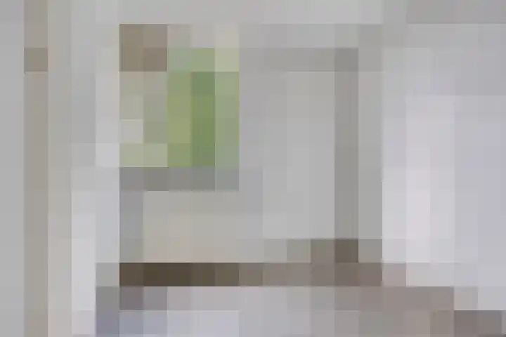 Rottumerplaat 55 Zwolle thumbnail 18