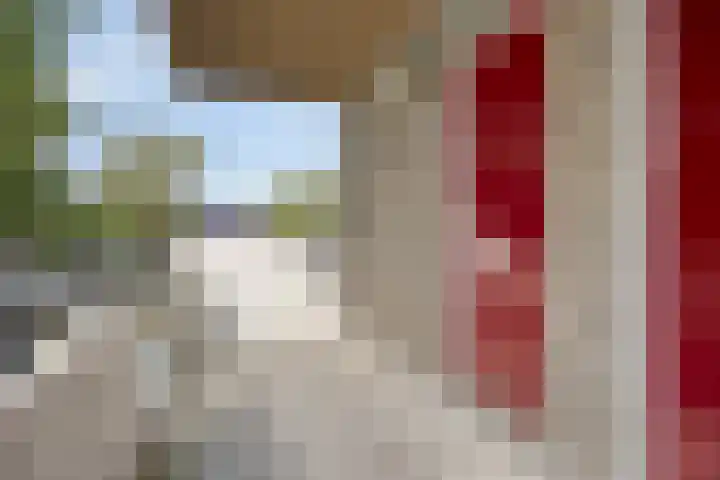 Rottumerplaat 55 Zwolle thumbnail 26