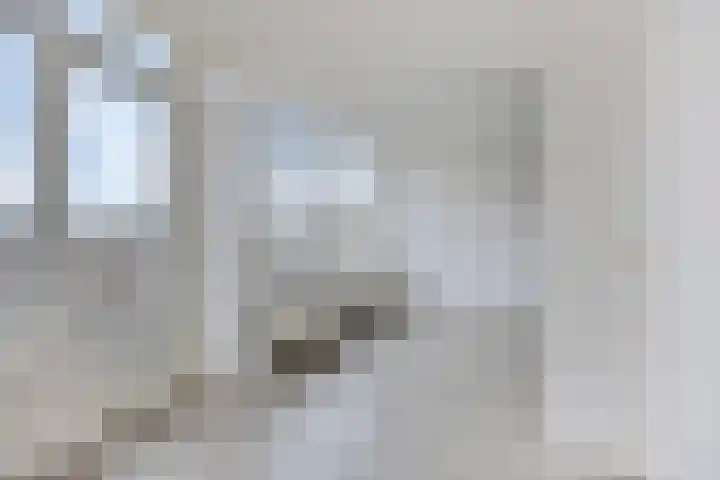Rottumerplaat 55 Zwolle thumbnail 4