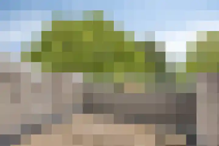 Rottumerplaat 55 Zwolle thumbnail 6