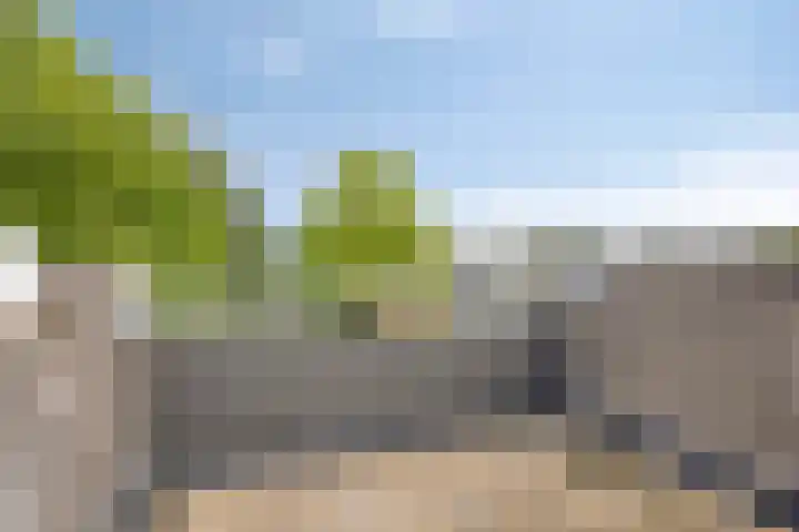Rottumerplaat 55 Zwolle thumbnail 7