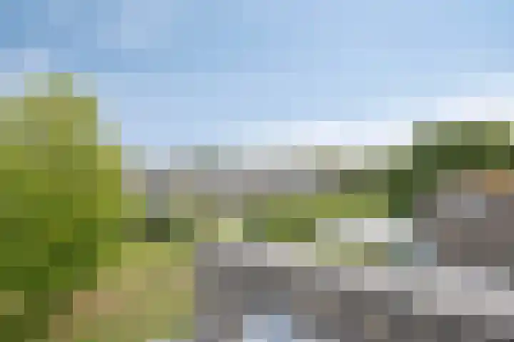 Rottumerplaat 55 Zwolle thumbnail 8