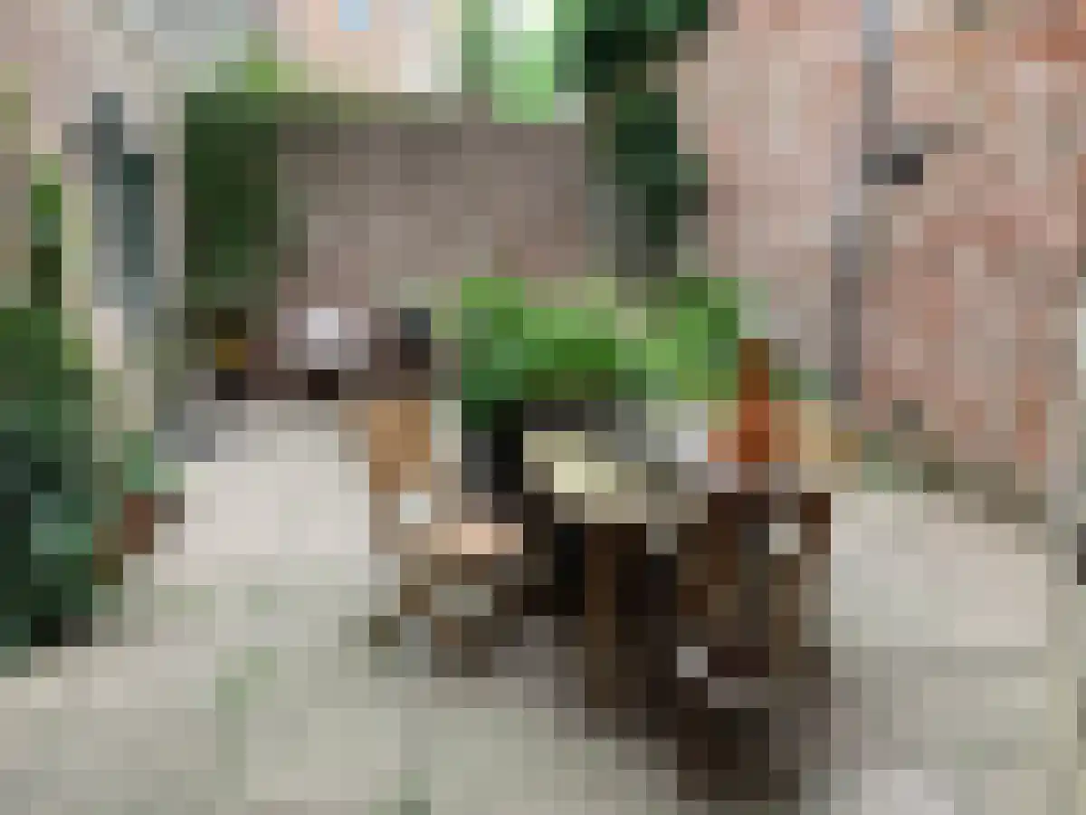 Rouaansekaai 1 Middelburg thumbnail 6