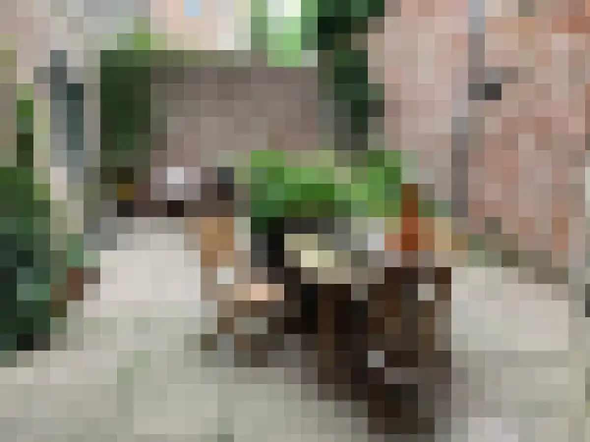 Rouaansekaai 1 Middelburg thumbnail 6