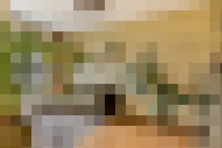 Rouaansekaai 133 Middelburg thumbnail 12