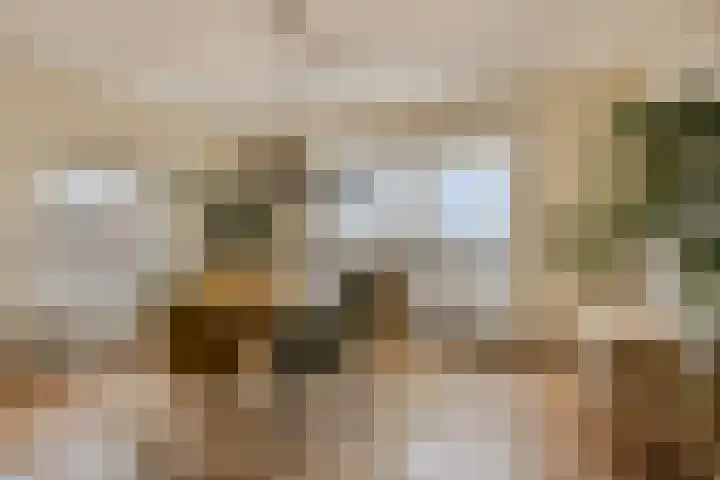 Rouaansekaai 133 Middelburg thumbnail 6