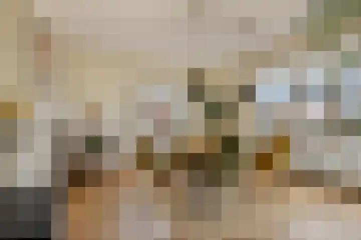 Rouaansekaai 133 Middelburg thumbnail 9