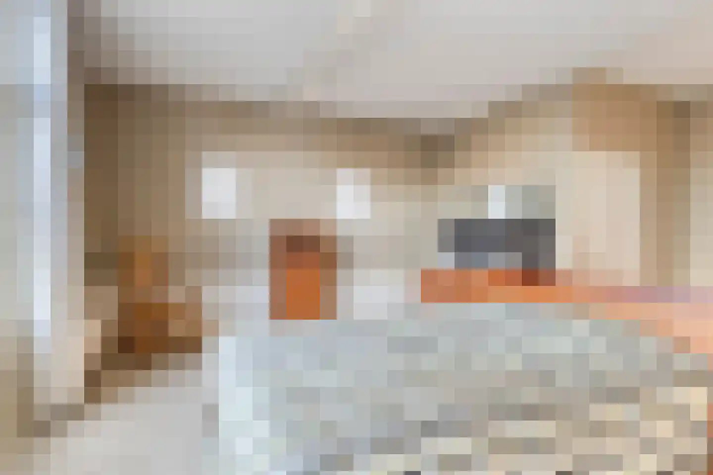 Rouaansekaai 15 Middelburg thumbnail 40