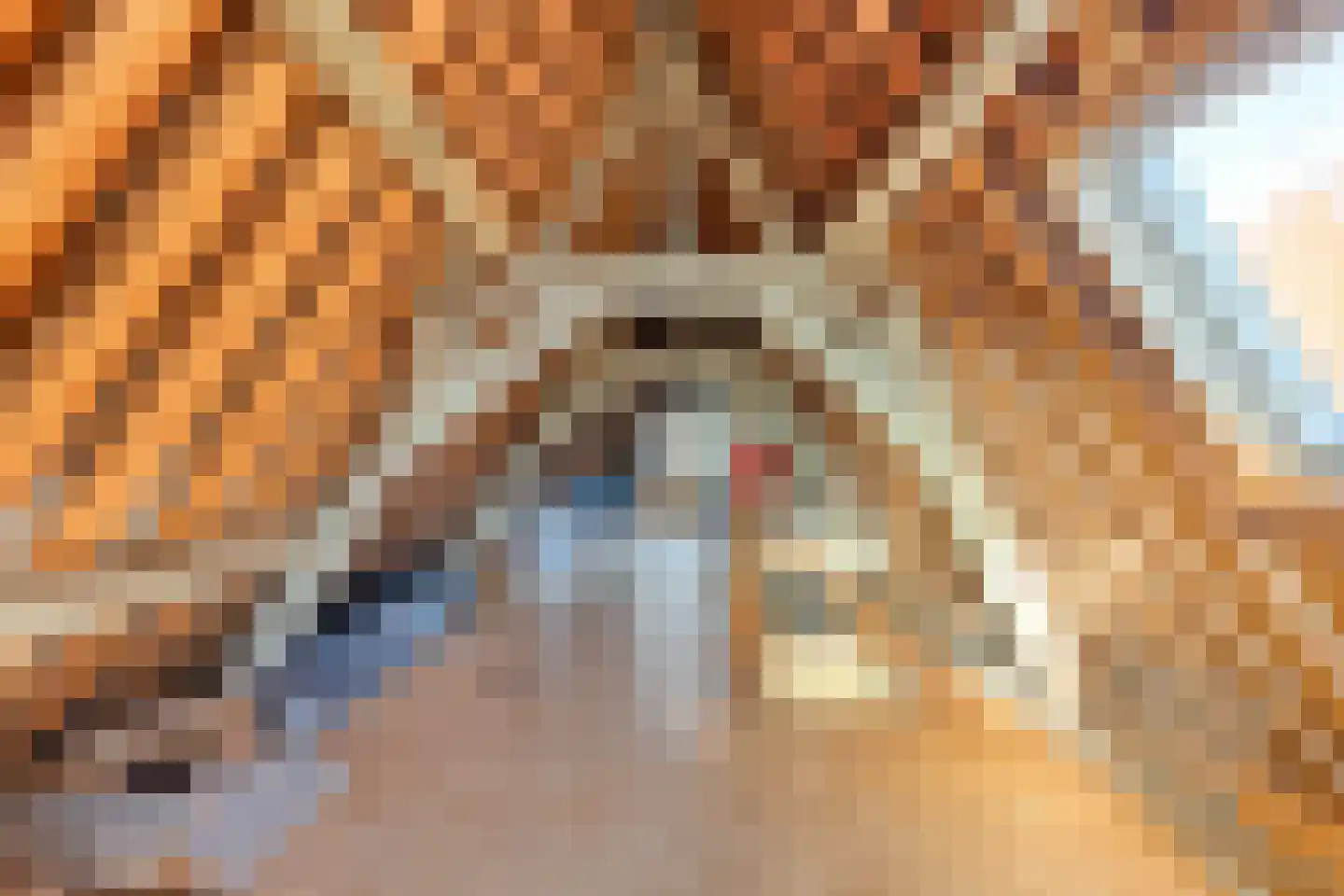 Rouaansekaai 15 Middelburg thumbnail 56