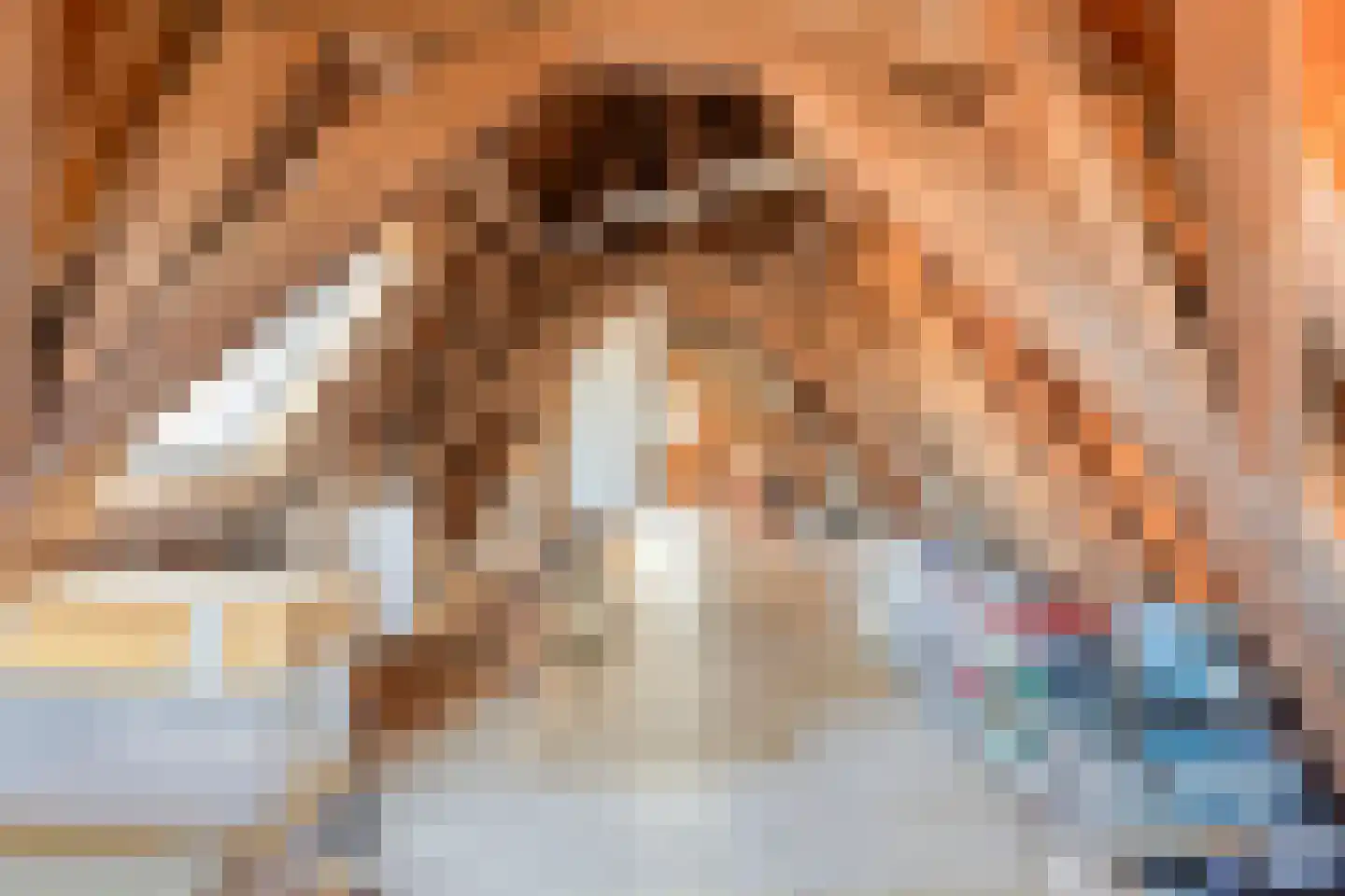 Rouaansekaai 15 Middelburg thumbnail 57