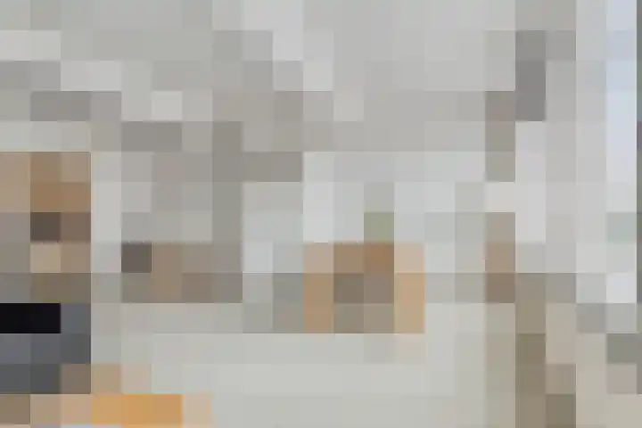 Rouaansekaai 19 A Middelburg thumbnail 13