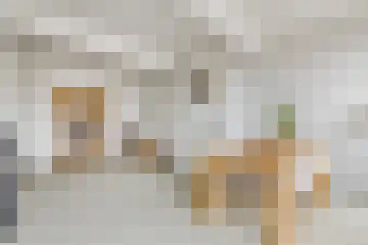 Rouaansekaai 19 A Middelburg thumbnail 14