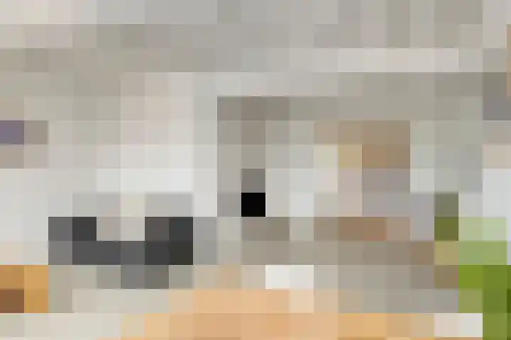 Rouaansekaai 19 A Middelburg thumbnail 16