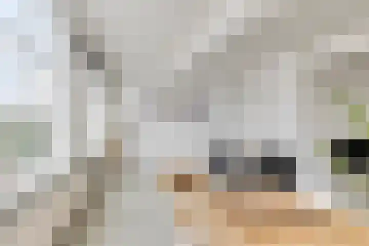Rouaansekaai 19 A Middelburg thumbnail 9