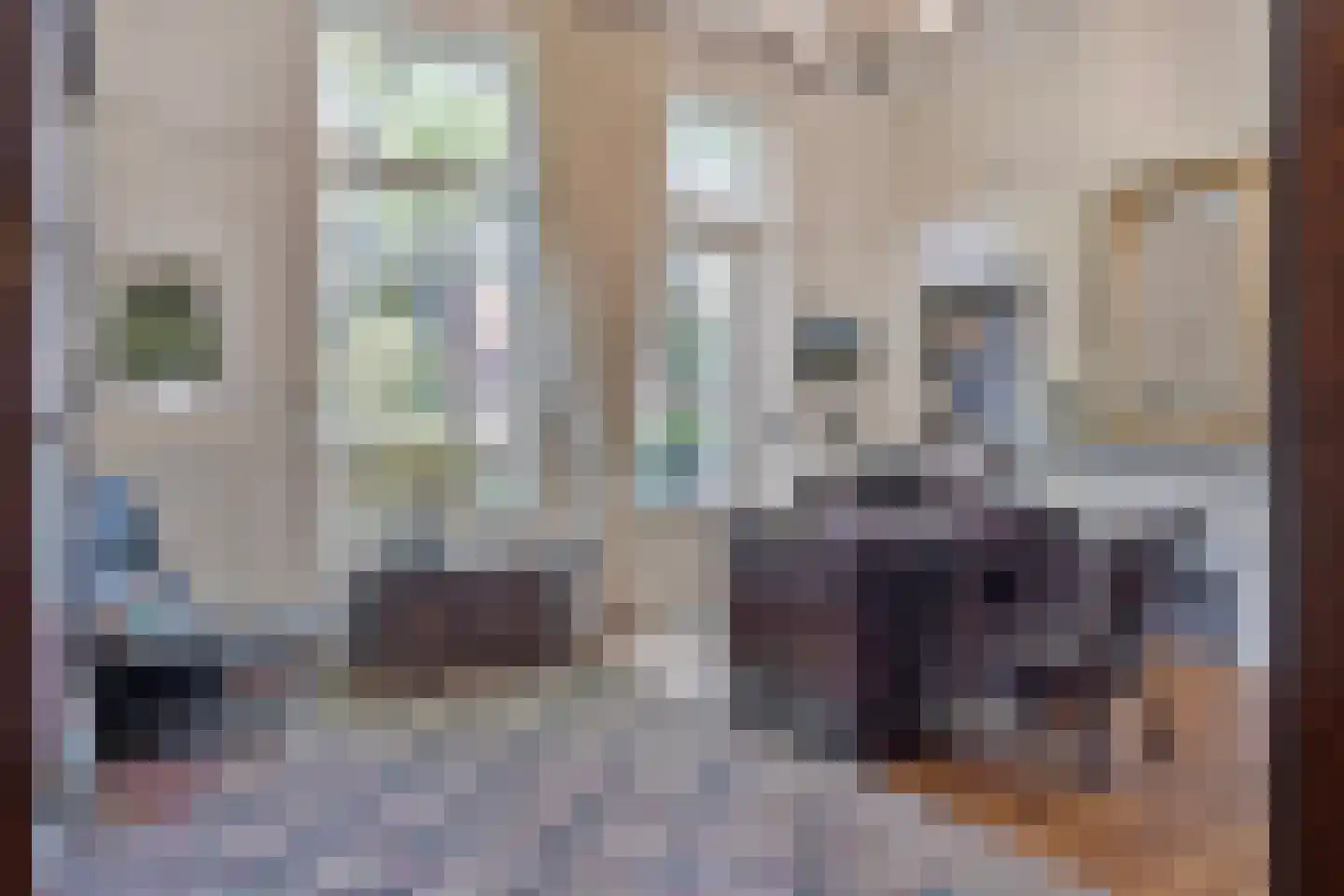 Rouaansekaai 23 Middelburg thumbnail 13
