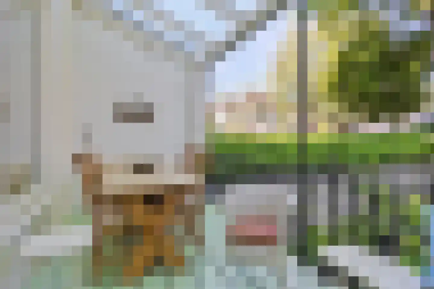 Rouaansekaai 23 Middelburg thumbnail 16