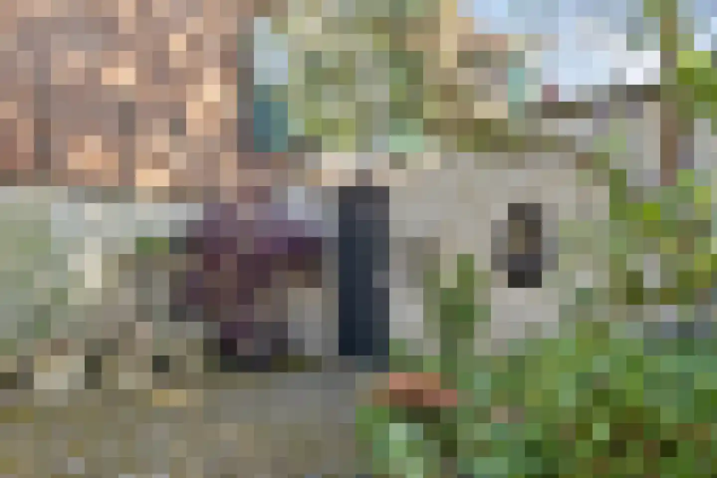 Rouaansekaai 23 Middelburg thumbnail 50