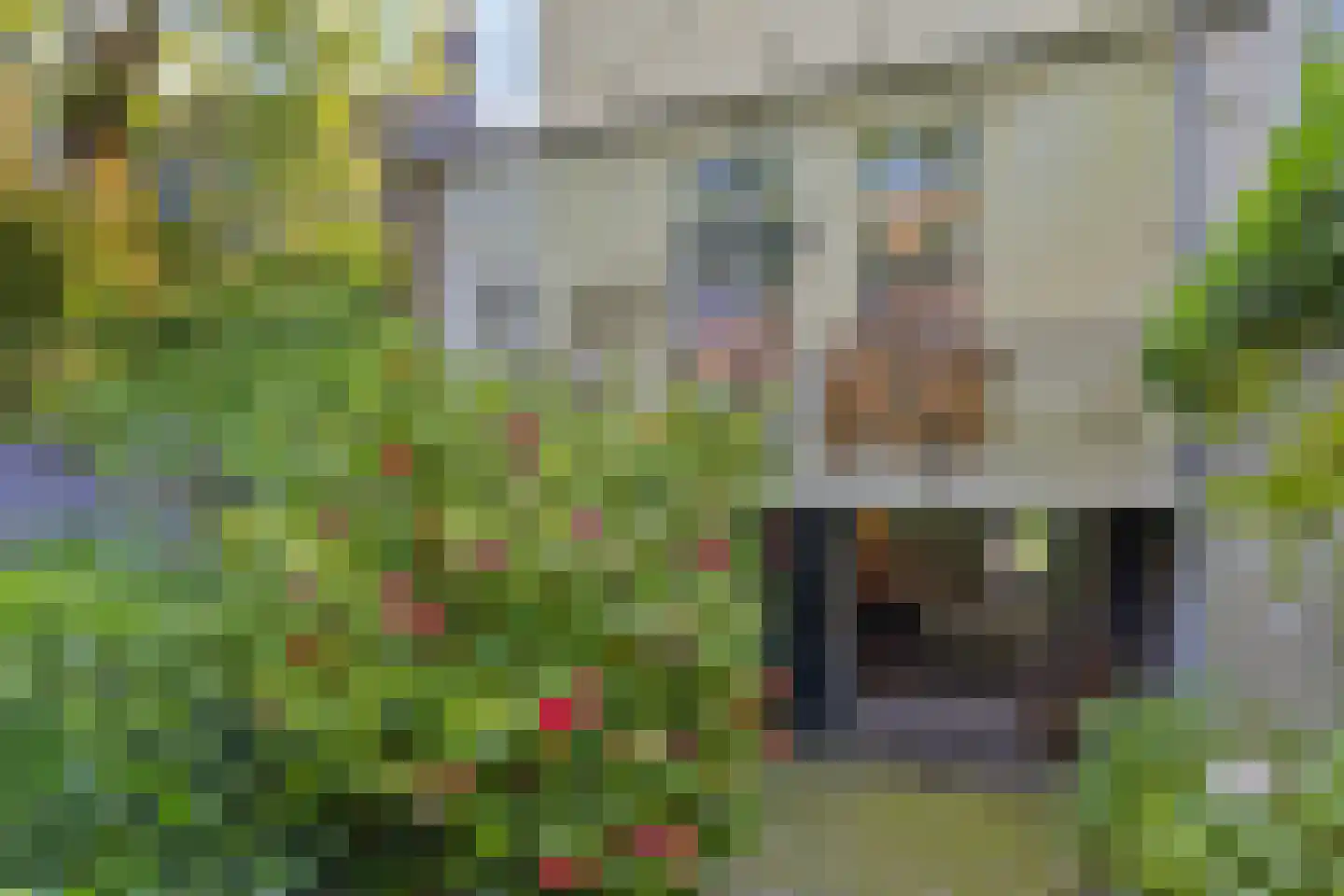 Rouaansekaai 23 Middelburg thumbnail 51