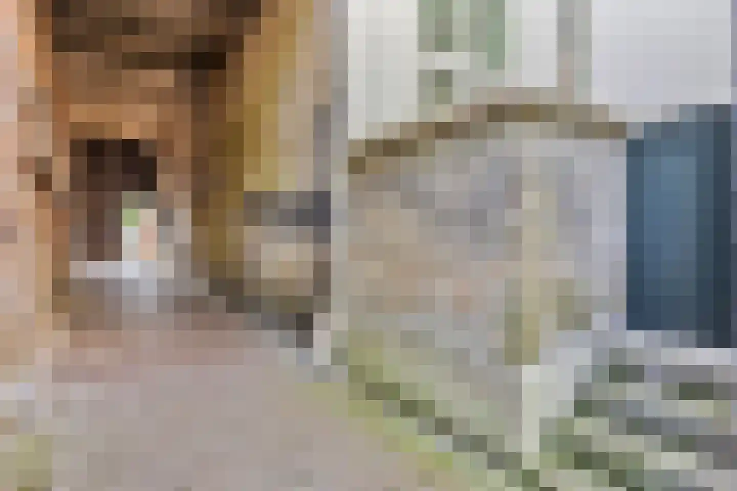 Rouaansekaai 23 Middelburg thumbnail 55