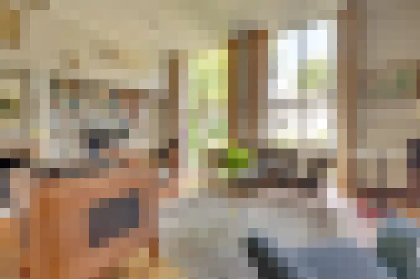 Rouaansekaai 27 Middelburg thumbnail 16