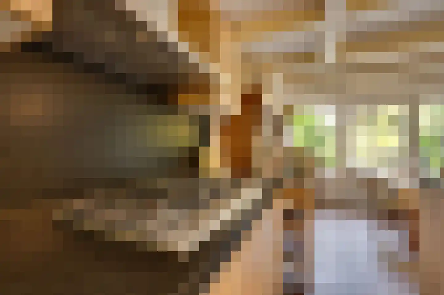 Rouaansekaai 27 Middelburg thumbnail 20