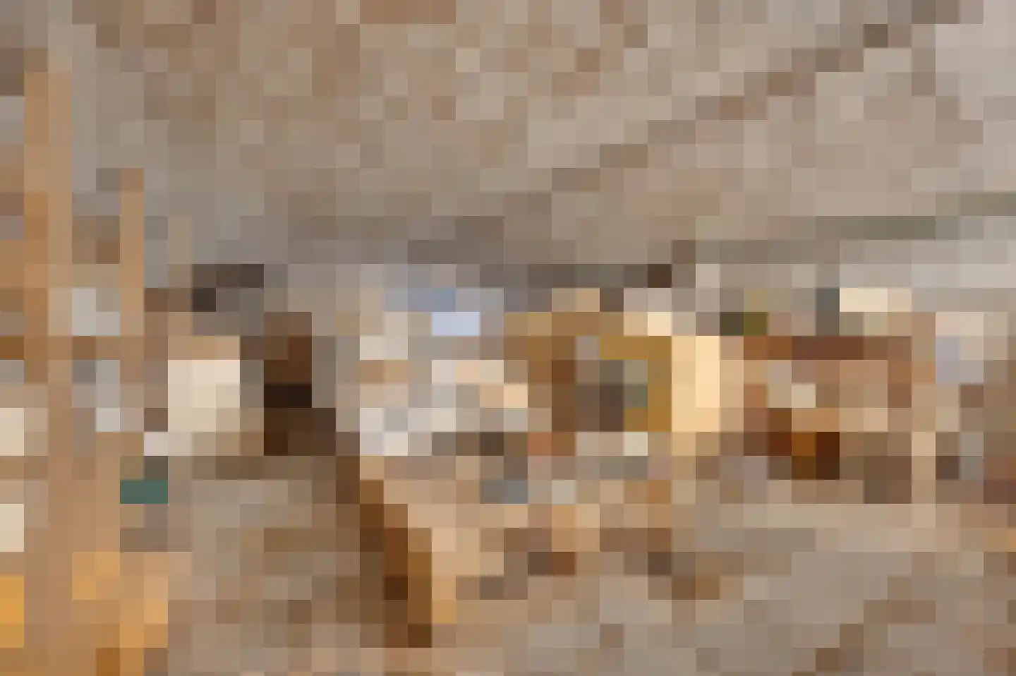 Rouaansekaai 27 Middelburg thumbnail 45