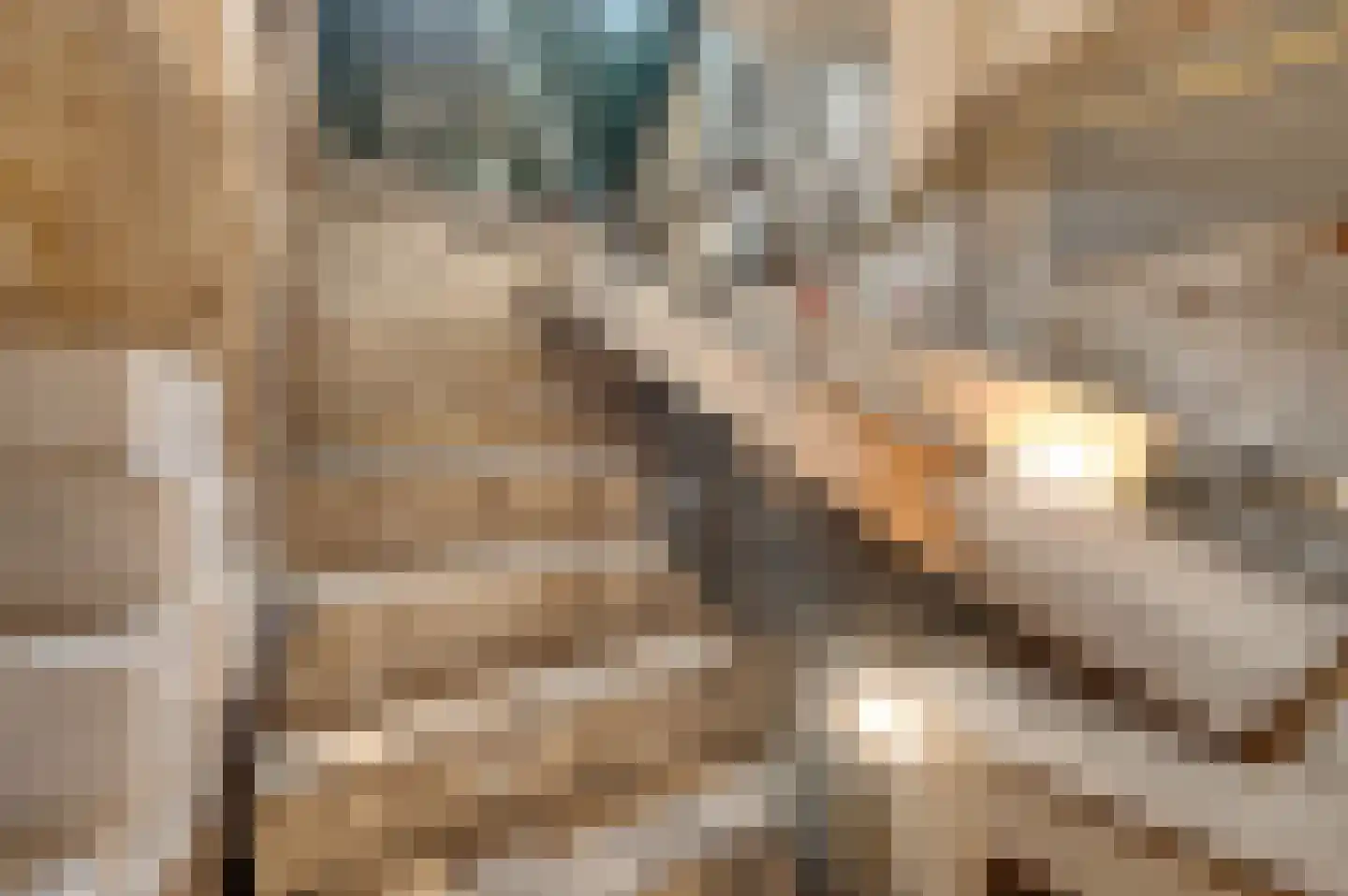Rouaansekaai 27 Middelburg thumbnail 46