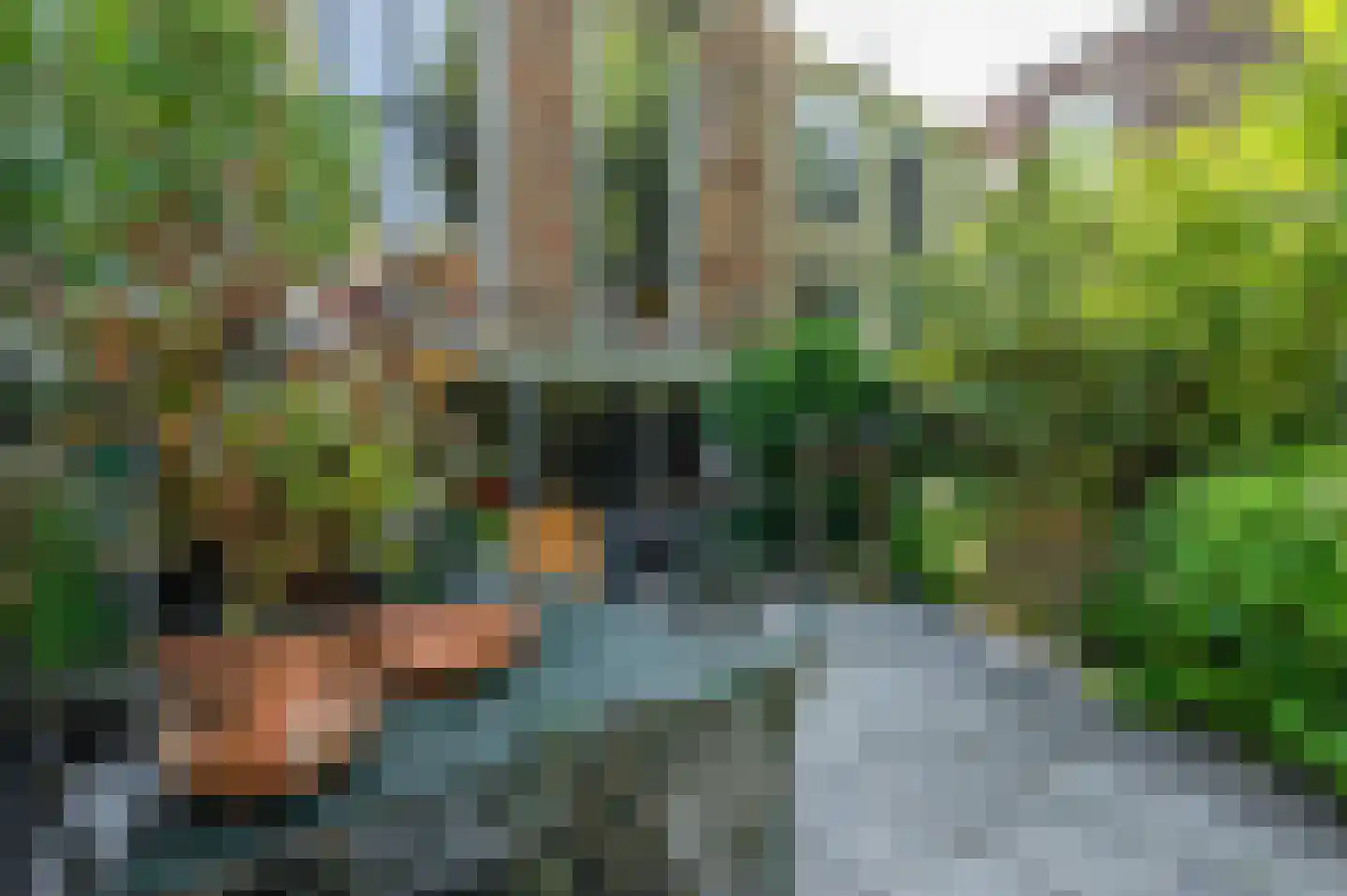 Rouaansekaai 27 Middelburg thumbnail 48